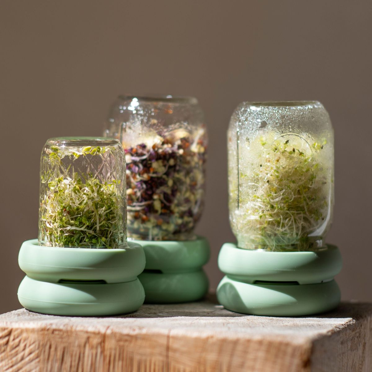 Seed Sprouting Jar